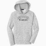 Demopolis Tigers <span class="pdp-name-mascot">Demopolis Tigers</span> Sport-Tek Youth PosiCharge Electric Heather Fleece Hoodie Front Thumbnail