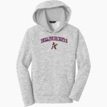 AVONDALE HIGH SCHOOL YELLOWJACKETS <span class="pdp-name-mascot">AVONDALE YELLOWJACKETS</span> Sport-Tek Youth PosiCharge Electric Heather Fleece Hoodie Front Thumbnail