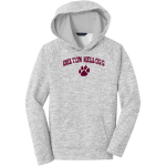 Delton Kellogg Panthers <span class="pdp-name-mascot">Delton Kellogg Panthers</span> Sport-Tek Youth PosiCharge Electric Heather Fleece Hoodie Front Thumbnail