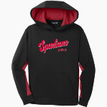 Southwestern Spartans <span class="pdp-name-mascot">Southwestern Spartans</span> Sport-Tek Youth Sport-Wick Fleece Colorblock Hooded Pullover Front Thumbnail