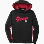 PORTSMOUTH ABBEY SCHOOL RAVENS Sport-Tek Youth Sport-Wick Fleece Colorblock Hooded Pullover Front Thumbnail