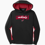 LAWNDALE HIGH SCHOOL CARDINALS <span class="pdp-name-mascot">LAWNDALE CARDINALS</span> Sport-Tek Youth Sport-Wick Fleece Colorblock Hooded Pullover Front Thumbnail