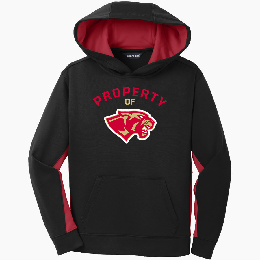 CANEY CREEK HIGH SCHOOL PANTHERS Sport-Tek Youth Sport-Wick Fleece Colorblock Hooded Pullover