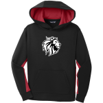 Park Elementary Lions <span class="pdp-name-mascot">Park Elementary Lions</span> Sport-Tek Youth Sport-Wick Fleece Colorblock Hooded Pullover Front Thumbnail