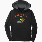 Lady Renegades official sideline store <span class="pdp-name-mascot">Lady Renegades Organization</span> Sport-Tek Youth Sport-Wick Fleece Colorblock Hooded Pullover Front Thumbnail