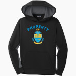 IDEA Academy Health Professions <span class="pdp-name-mascot">IDEA Academy Health Professions</span> Sport-Tek Youth Sport-Wick Fleece Colorblock Hooded Pullover Front Thumbnail