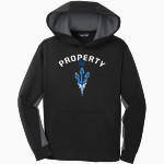 BROCKPORT BLUE DEVILS The Official Online Store <span class="pdp-name-mascot">BROCKPORT BLUE DEVILS</span> Sport-Tek Youth Sport-Wick Fleece Colorblock Hooded Pullover Front Thumbnail