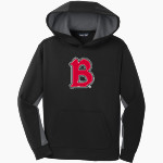 Benedictine University Mesa Redhawks <span class="pdp-name-mascot">Benedictine University Redhawks</span> Sport-Tek Youth Sport-Wick Fleece Colorblock Hooded Pullover Front Thumbnail