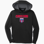 Wake Forest Cougars <span class="pdp-name-mascot">Wake Forest Cougars</span> Sport-Tek Youth Sport-Wick Fleece Colorblock Hooded Pullover Front Thumbnail