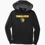 Asheville Trailblazers Asheville Trailblaze Sport-Tek Youth Sport-Wick Fleece Colorblock Hooded Pullover Front Thumbnail