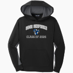 Good Shepherd Rams <span class="pdp-name-mascot">Good Shepherd School Rams</span> Sport-Tek Youth Sport-Wick Fleece Colorblock Hooded Pullover Front Thumbnail