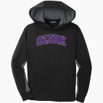 OZARK HIGH SCHOOL HILLBILLIES Sport-Tek Youth Sport-Wick Fleece Colorblock Hooded Pullover Front Thumbnail
