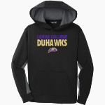 Loras College Duhawks Sport-Tek Youth Sport-Wick Fleece Colorblock Hooded Pullover Front Thumbnail
