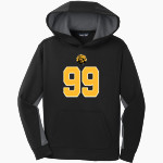 Wilmington Aquatic Club Sea Tigers <span class="pdp-name-mascot">Wilmington Aquatic Club Sea Tigers</span> Sport-Tek Youth Sport-Wick Fleece Colorblock Hooded Pullover Front Thumbnail