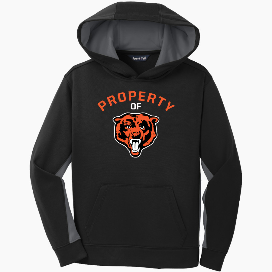 AUSTIN HIGH SCHOOL BLACK BEARS <span class="pdp-name-mascot">AUSTIN BLACK BEARS</span> Sport-Tek Youth Sport-Wick Fleece Colorblock Hooded Pullover