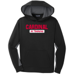 Annandale Cardinals <span class="pdp-name-mascot">Annandale Schools Cardinals</span> Sport-Tek Youth Sport-Wick Fleece Colorblock Hooded Pullover Front Thumbnail