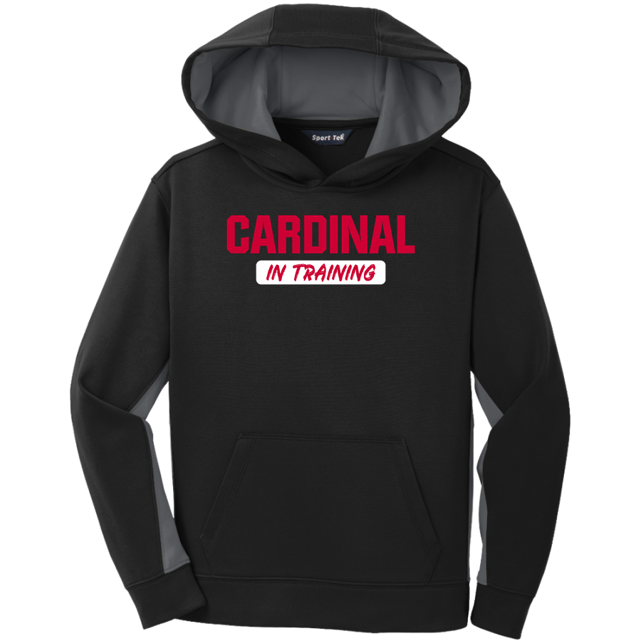 Annandale Cardinals <span class="pdp-name-mascot">Annandale Schools Cardinals</span> Sport-Tek Youth Sport-Wick Fleece Colorblock Hooded Pullover