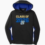 NOBLE HIGH SCHOOL BEARS <span class="pdp-name-mascot">NOBLE BEARS</span> Sport-Tek Youth Sport-Wick Fleece Colorblock Hooded Pullover Front Thumbnail