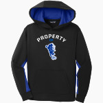 West Tech Panthers Sport-Tek Youth Sport-Wick Fleece Colorblock Hooded Pullover Front Thumbnail