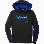 DICKINSON HIGH SCHOOL GATORS <span class="pdp-name-mascot">DICKINSON GATORS</span> Sport-Tek Youth Sport-Wick Fleece Colorblock Hooded Pullover Front Thumbnail