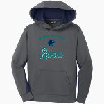 AUBURN RIVERSIDE HIGH SCHOOL RAVENS Sport-Tek Youth Sport-Wick Fleece Colorblock Hooded Pullover Front Thumbnail