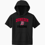 Dunedin Falcons <span class="pdp-name-mascot">Dunedin High School Falcons</span> Sport-Tek Youth Sport-Wick Fleece Short Sleeve Hoodie Front Thumbnail