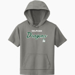 Delphian Dragons Sport-Tek Youth Sport-Wick Fleece Short Sleeve Hoodie Front Thumbnail