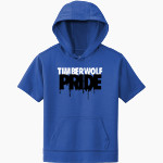 Howard Valentine Timberwolves <span class="pdp-name-mascot">Howard Valentine Timberwolves</span> Sport-Tek Youth Sport-Wick Fleece Short Sleeve Hoodie Front Thumbnail