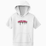 Frozen Ropes Natick Frozen Ropes Natick <span class="pdp-name-mascot">Frozen Ropes</span> Sport-Tek Youth Sport-Wick Fleece Short Sleeve Hoodie Front Thumbnail