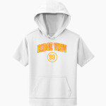 Ridge View Raptors <span class="pdp-name-mascot">Ridge View Raptors</span> Sport-Tek Youth Sport-Wick Fleece Short Sleeve Hoodie Front Thumbnail