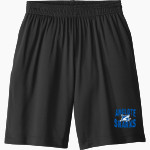 ANCLOTE HIGH SCHOOL SHARKS <span class="pdp-name-mascot">ANCLOTE SHARKS</span> Sport-Tek Youth PosiCharge Competitor Pocketed Short Front Thumbnail