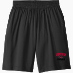 Dunedin Falcons <span class="pdp-name-mascot">Dunedin High School Falcons</span> Sport-Tek Youth PosiCharge Competitor Pocketed Short Front Thumbnail