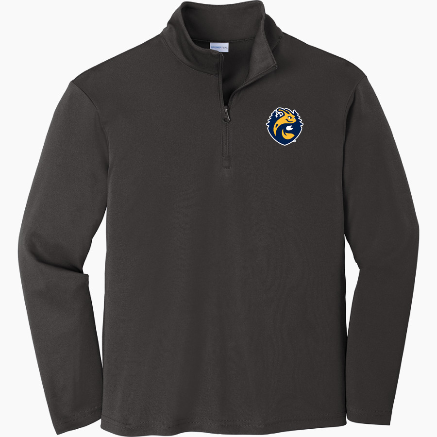 UC Santa Cruz Banana Slugs Sport-Tek Youth PosiCharge Competitor 1/4-Zip Pullover