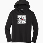 Dunedin Falcons <span class="pdp-name-mascot">Dunedin High School Falcons</span> Sport-Tek Youth PosiCharge Competitor Hooded Pullover Front Thumbnail