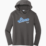 Mount St. Dominic Academy Lions Sport-Tek Youth PosiCharge Competitor Hooded Pullover Front Thumbnail