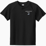 WETHERSFIELD HIGH SCHOOL EAGLES Sport-Tek Youth Posicharge Competitor 2-Button Short-Sleeve Henley Front Thumbnail
