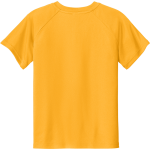 VIEWMONT HIGH SCHOOL VIKINGS <span class="pdp-name-mascot">VIEWMONT VIKINGS</span> Sport-Tek Youth Posicharge Competitor 2-Button Short-Sleeve Henley Back Thumbnail