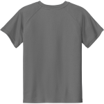 Providence Panthers <span class="pdp-name-mascot">Providence Panthers</span> Sport-Tek Youth Posicharge Competitor 2-Button Short-Sleeve Henley Back Thumbnail