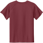 Achievement First University Prep Phoenix <span class="pdp-name-mascot">Achievement First University Prep High School Phoenix</span> Sport-Tek Youth Posicharge Competitor 2-Button Short-Sleeve Henley Back Thumbnail