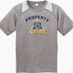 Andrew Tigers <span class="pdp-name-mascot">Andrew College Tigers</span> Sport-Tek Youth Short Sleeve Colorblock Contender Tee Front Thumbnail