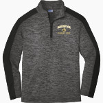Manassas Park Cougars Sport-Tek Youth PosiCharge Electric Heather Colorblock 1/4-Zip Pullover Front Thumbnail