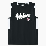 WINNECONNE HIGH SCHOOL WOLVES <span class="pdp-name-mascot">WINNECONNE WOLVES</span> Sport-Tek Youth Club Sleeveless V-Neck Front Thumbnail