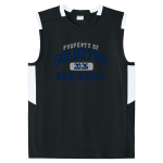 SOLDOTNA HIGH SCHOOL STARS <span class="pdp-name-mascot">SOLDOTNA STARS</span> Sport-Tek Youth Club Sleeveless V-Neck Front Thumbnail