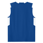 Plainfield Quakers <span class="pdp-name-mascot">Plainfield Quakers</span> Sport-Tek Youth Club Sleeveless V-Neck Back Thumbnail