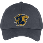 THE COLLEGE OF NEW JERSEY LIONS <span class="pdp-name-mascot">THE COLLEGE OF NEW JERSEY LIONS</span> Sport-Tek Youth PosiCharge Racer Mesh Cap Front Thumbnail