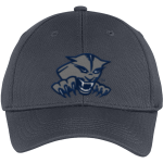 Willow Canyon Wildcats <span class="pdp-name-mascot">Willow Canyon Wildcats</span> Sport-Tek Youth PosiCharge Racer Mesh Cap Front Thumbnail