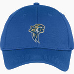 WATERFORD HIGH SCHOOL WILDCATS <span class="pdp-name-mascot">WATERFORD WILDCATS</span> Sport-Tek Youth PosiCharge Racer Mesh Cap Front Thumbnail