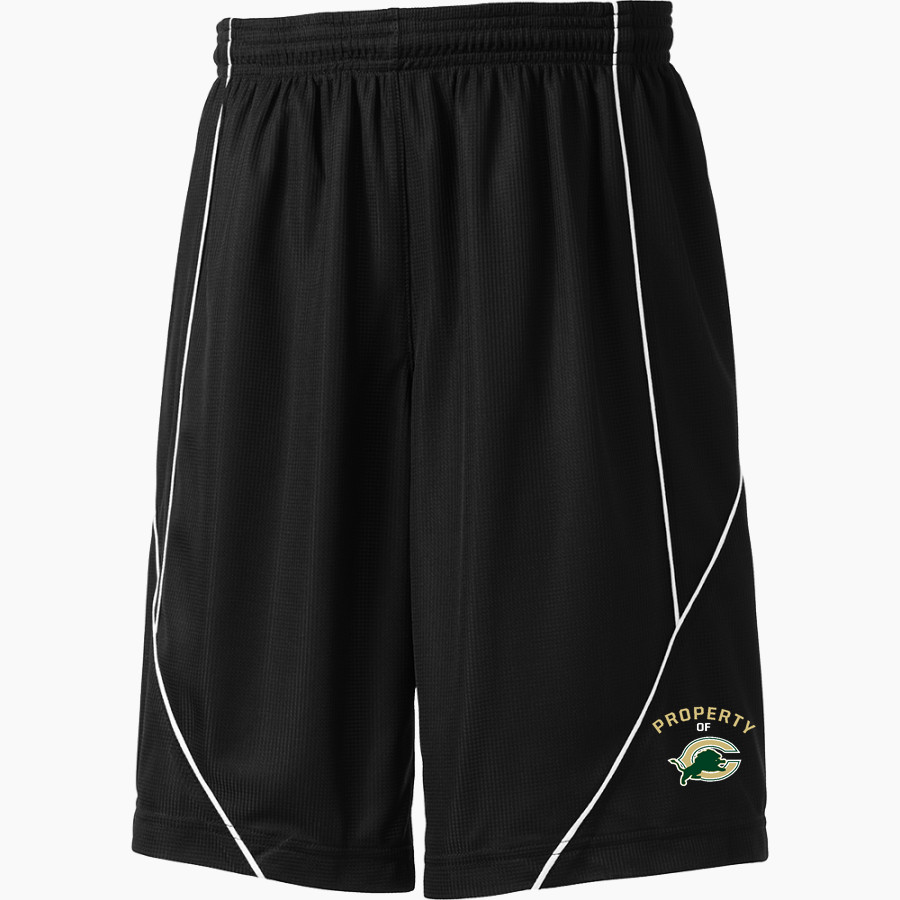 ARCHBISHOP CARROLL HIGH SCHOOL LIONS <span class="pdp-name-mascot">ARCHBISHOP CARROLL LIONS</span> Sport-Tek Youth PosiCharge Mesh Reversible Spliced Short