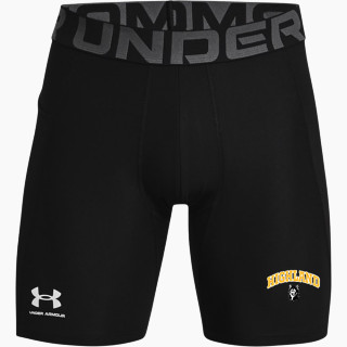 UA Men's Heatgear Armour Shorts