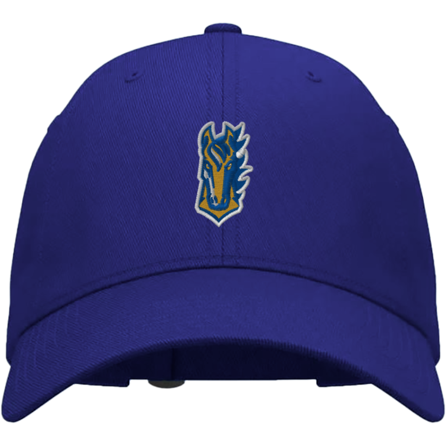 NorthPointe Christian Mustangs <span class="pdp-name-mascot">NorthPointe Christian Schools Mustangs</span> UA Team Chino Adjustable Cap